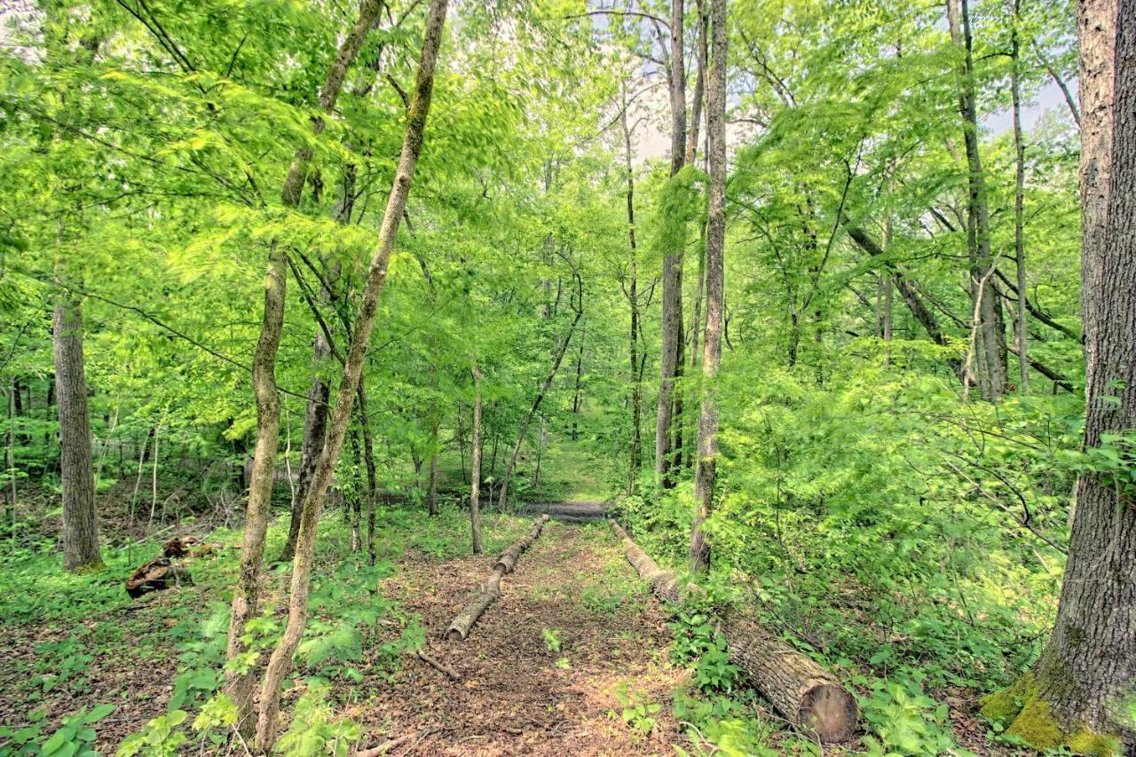 Tree Song Mountain Creek Cabin Ellijay Εξωτερικό φωτογραφία
